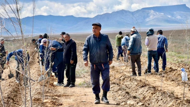 «تازا قازاقستان» اكتسيياسىنىڭ ارقاسىندا كەنتاۋ, ساۋران, سوزاق اۋداندارى گٷل مەن جاسىل جەلەكپەن كٶمكەرٸلدٸ