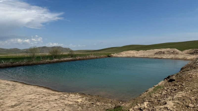 بالىق ٶسٸرۋدە تٷركٸستان وبلىسى كٶش باسىندا