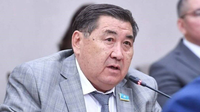 "تاسماعامبەتوۆكە دەيٸن ۇسىنىس جاسادىق". دەپۋتات باپي مەجٸلٸستە جاڭا باستاما كٶتەردٸ