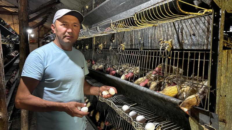 Кәсіпкер Сарқан өңірін сапалы жұмыртқамен қамтып отыр