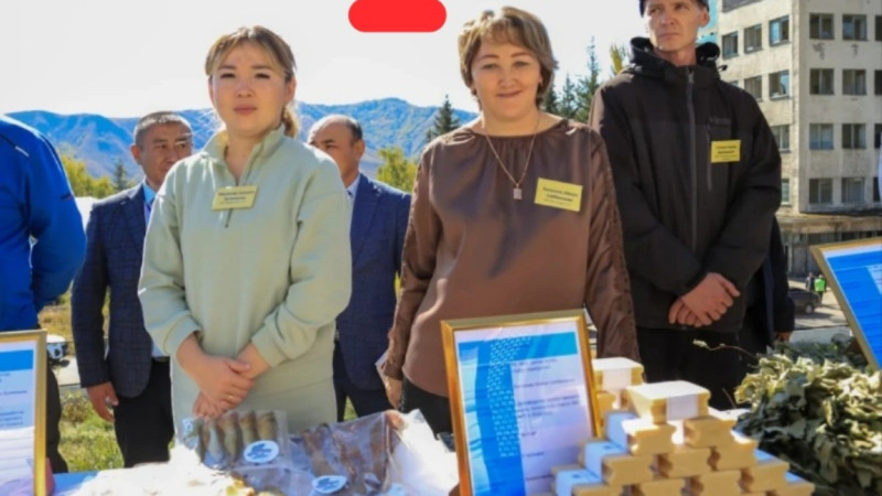 ShQO:  Otandyq sabyn óndirisi damyp keledi