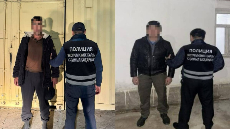 15 جىل بويى مەملەكەتارالىق ٸزدەۋدە جٷرگەن ەكٸ شەتەلدٸك ۇستالدى