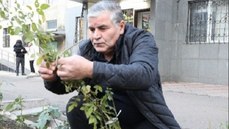 الماتى تۇرعىنى اينالاسىن جاسىل جەلەككە اينالدىرىپ, ەكٸمدٸكتٸڭ قولداۋىنا يە بولدى