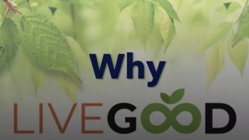 Astanada «LIVEGOOD» qarjy piramidasy arqyly qyrýar aqsha jymqyrǵandar ustaldy