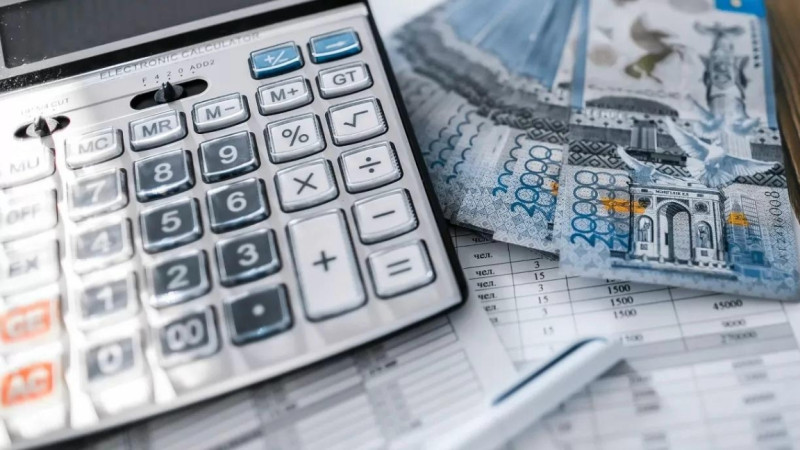 قازاقستاندىق 8 بلوگەر ٶز ەركٸمەن 1 ملرد تەڭگەدەن استام تابىسىن دەكلاراتسييالادى