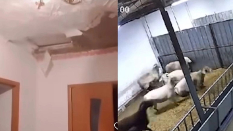 جامبىل وبلىسىندا تاعى دا جەر سٸلكٸندٸ
