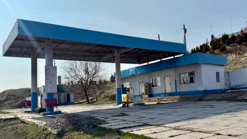تٷركٸستان وبلىسىندا جول بويىنداعى نىساندار رەتكە كەلتٸرٸلەدٸ
