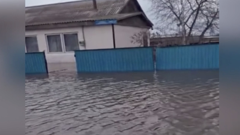 "Есіл тасыды". Ақмола облысындағы ауылдарда үйлерге су кірді