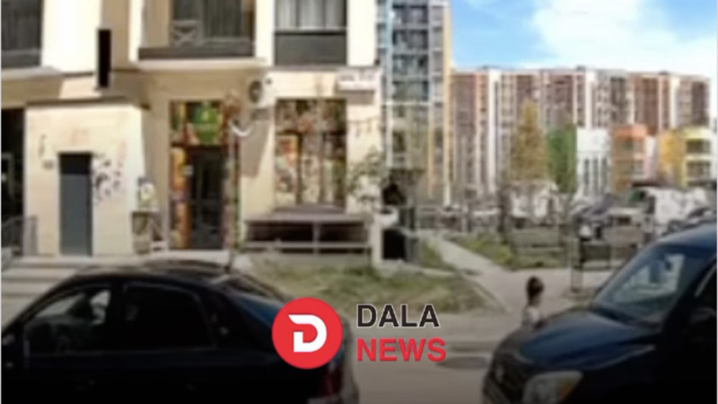 الماتىدا جەتٸ جاسار بالانى ٷي اۋلاسىندا كٶلٸك قاعىپ كەتتٸ