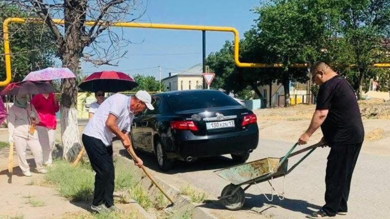شاردارادا ٶتكەن سەنبٸلٸك اياسىندا 20 مىڭنان استام تال ەگٸلدٸ
