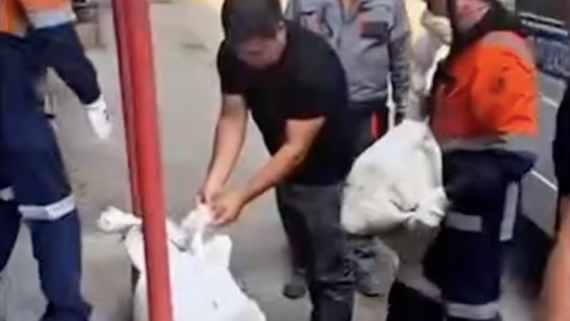 شىعىستا زاڭسىز جولمەن التىن ٶندٸرگەندەر ۇستالدى
