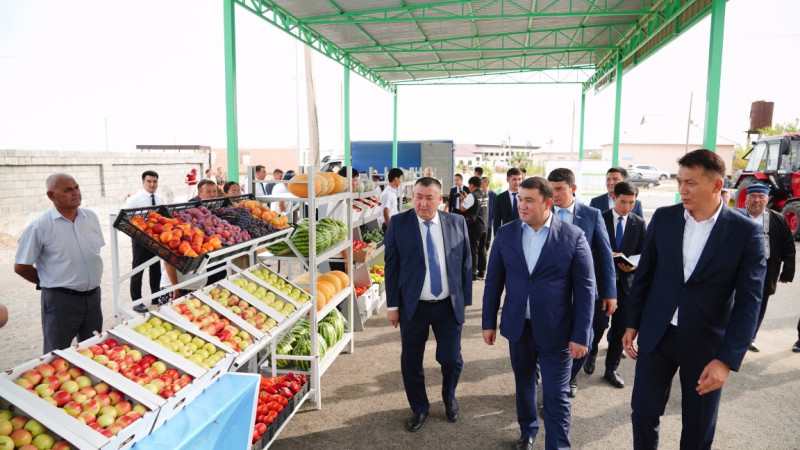 «ەلەۋمەتتٸك باقشا»:  ساۋراندا مۇقتاج جاندارعا تەگٸن ساۋدا ورىندارى بەرٸلدٸ