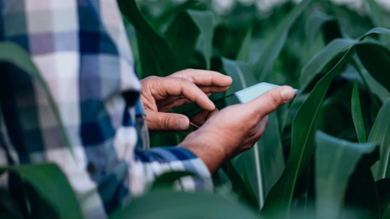 Qymbatshylyqpen kúres: Saýda ministrligi men "Qazaqtelekom" agromarketpleisti iske qospaq