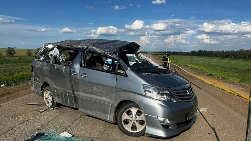 قازاقستاندا Toyota Alphard كٶلٸكتەرٸن شەكتەۋ ۇسىنىلدى