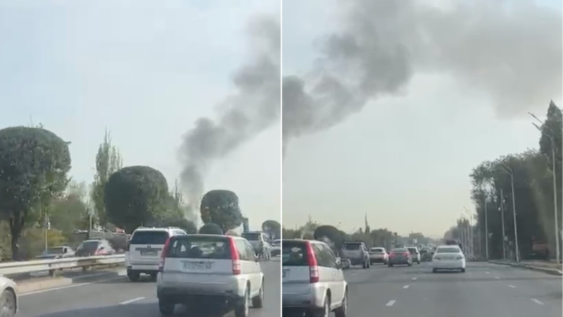 الماتىدا جەكە تۇرعىن ٷيدەن ٶرت شىقتى