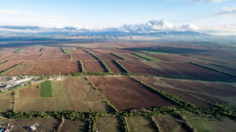 Alataý qalasynda zańsyz berilgen jerler memleketke qaitaryldy