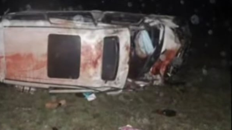Pavlodar oblysynda Toyota Alphard kóligi jylqyǵa soǵylǵan: eki adam qaza tapty