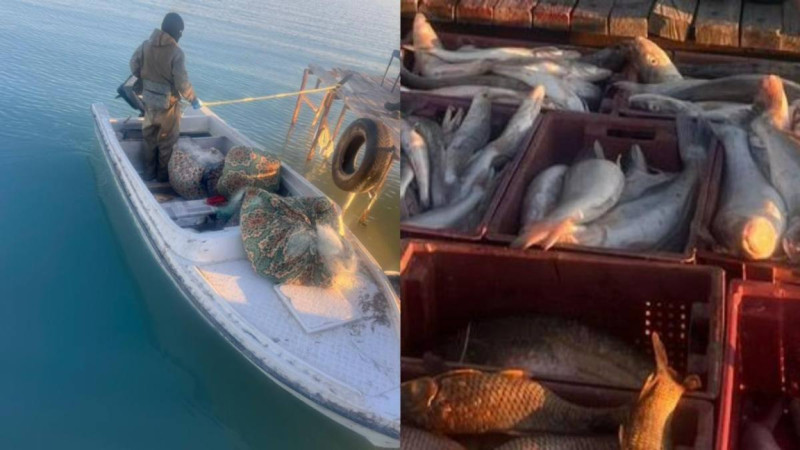 بالقاش كٶلٸندە براكونەرلەر ۇستالدى