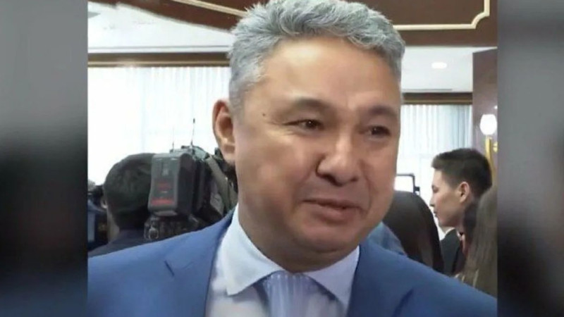 Eks-sheneýnikterdiń sheteldegi kezdesýleri zań aiasynda rettelýi tiis - Perýashev Nazarbaev týraly