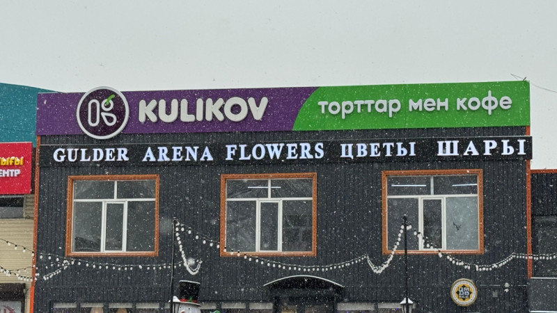 "Kýlikov shaiqasy": til úshin kúreste qyrǵyzdar da oiana bastady