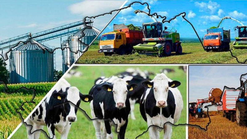 الماتى وبلىسىندا اۋدان ەكٸمدٸگٸ جەرگە بايلانىستى جالعان شەشٸم شىعارعان