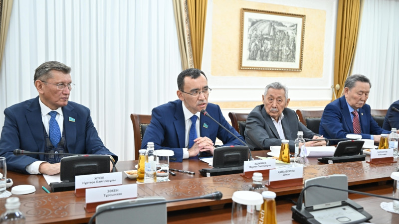 سەناتتا جاڭا كونستيتۋتسييالىق مودەل تالقىلاندى