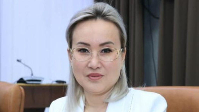 قوستاناي وبلىسىنىڭ ەكٸمٸ ورىنباسارى ۇستالۋىنا قاتىستى پٸكٸر بٸلدٸردٸ