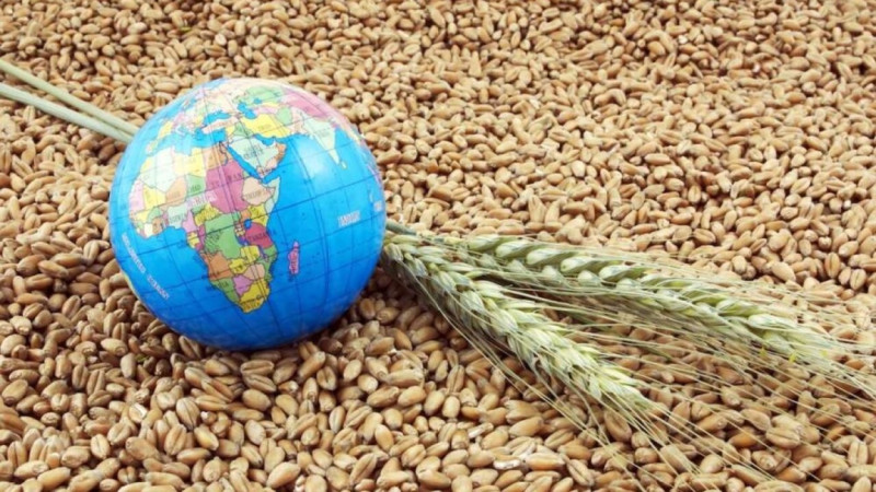 قازاقستان مەن FAO: اگروٶنەركەسٸپ سالاسىنداعى ستراتەگييالىق ەرٸپتەستٸك كٷشەيٸپ كەلەدٸ