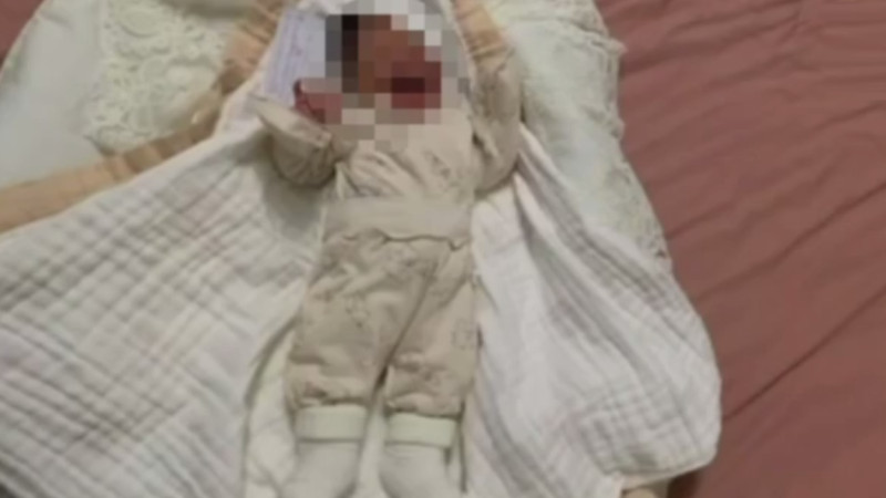 پاۆلوداردا جاڭا تۋعان سەبيدٸ 800 مىڭ تەڭگەگە ساتپاق بولعان