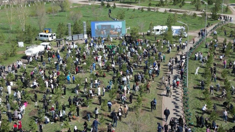 «Taza Qazaqstan»: Qaraǵandy etnoparkine 1500 aǵash egildi