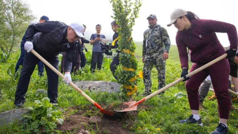 «Тазалық күндері»: Алматы облысында үш күнде 760 тоннадан астам қоқыс жиналды