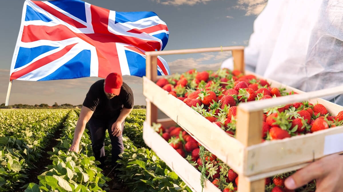 Angliiada 2672 qazaq jan baǵyp júr: Britaniiany «stannan» kelgender jaýlai bastady