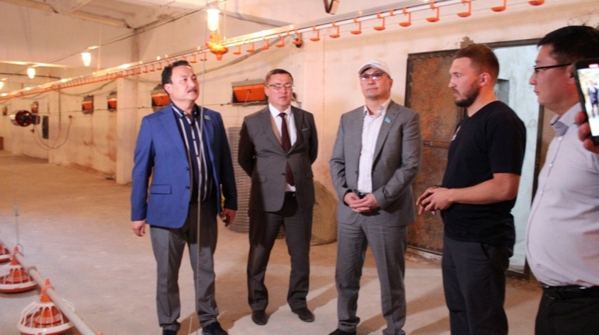 دەپۋتاتى ماجيليسا وبراتيلي ۆنيمانيە نا نەوبحوديموست ۋۆەليچەنييا وتەچەستۆەننوي پرودۋكتسيي نا ۆنۋترەننەم رىنكە