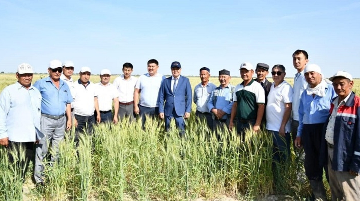 وتىرارلىق شارۋالار بيداي القابىن كەڭەيتٸپ, سۋدى ٷنەمدەۋگە كٶشتٸ