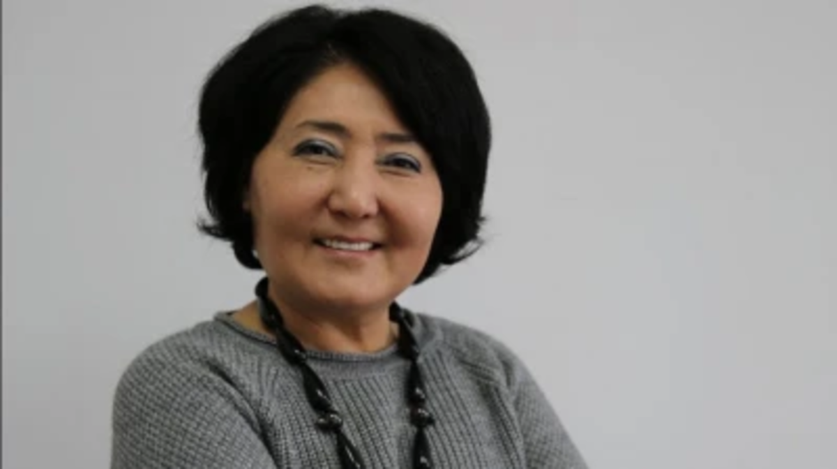 باسپاسٶز كارتاسىن ەنگٸزبەس بۇرىن شەتەلدٸك تەجٸريبەنٸ زەرتتەۋٸمٸز كەرەك - مۇحامەدجانوۆا