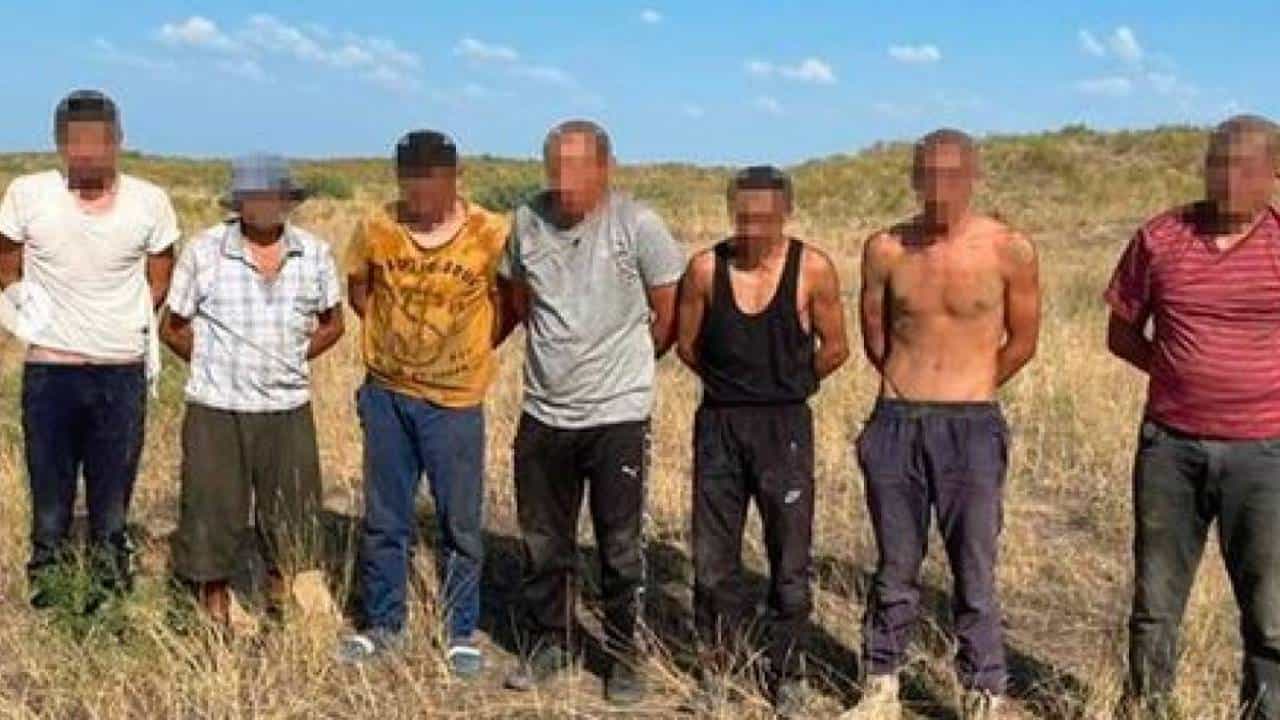 UQK-nyń arnaiy operatsiiasy: Uiymdasqan qylmystyq toptyń joly kesildi