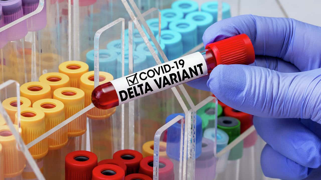 "Delta" shtammy ekpe saldyrǵandarǵa da juǵady – vaktsina avtory
