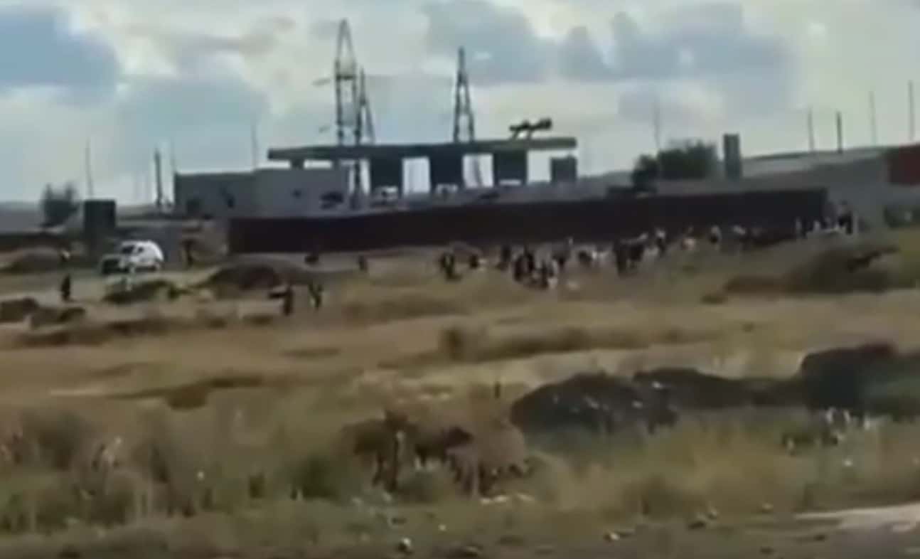 "Qonaqtar qasha jóneldi". Temirtaýda túsirilgen video eldiń kúlkisin keltirdi