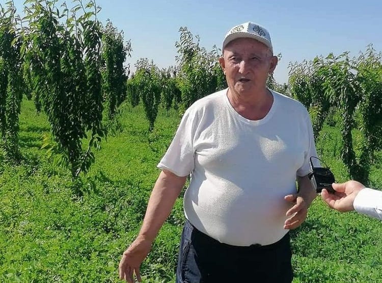 80 جاستاعى جەتٸسايلىق قارييا قارقىندى باۋ ٶسٸرٸپ وتىر
