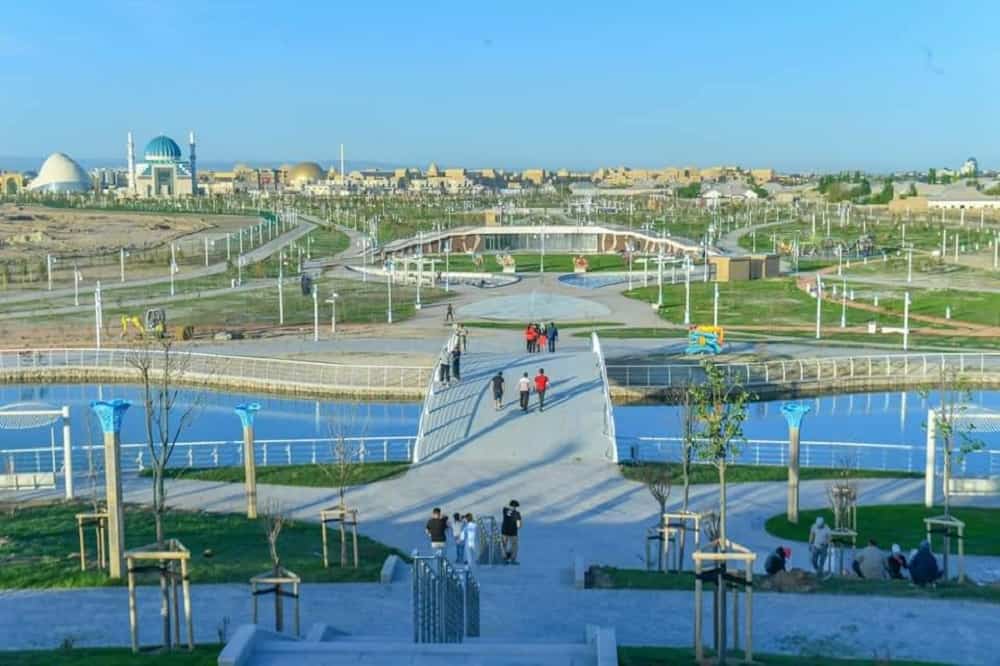 تٷركٸستاندا 400 گەكتار جەرگە ساياباقتار سالىنعان