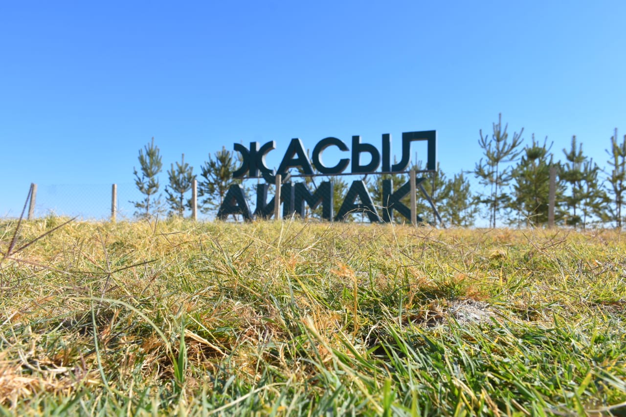 Биыл Түркістан облысында 30 млн тал егіледі