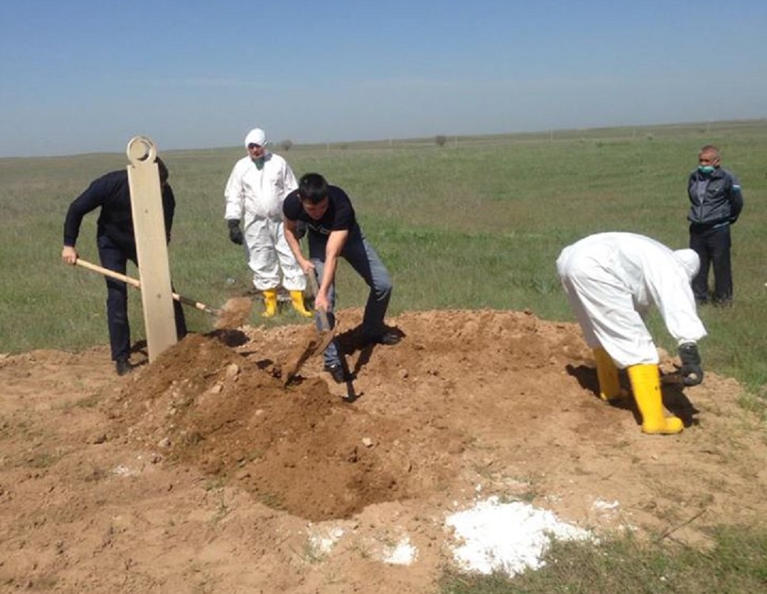 Koronovirýstan qaitqandardyń sanyn jasandy túrde kóbeitip otyr