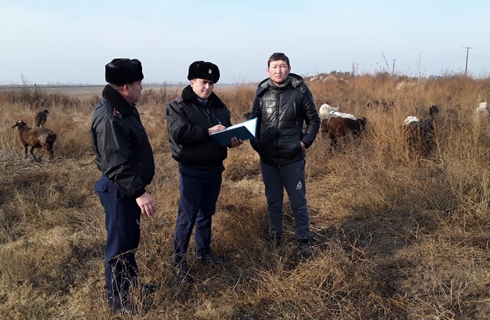 Мал ұрлағандар ұсталса дүние-мүлкі тәркіленіп, 12 жылға сотталады