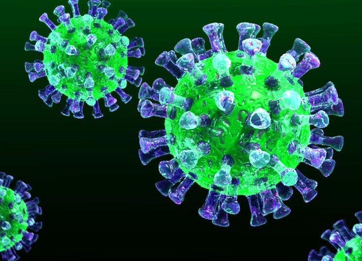Nemis biology koronavirýstyń qashan toqtaýy múmkin ekenin aitty