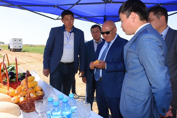Ө.Шөкеев: «Көкөніс қойма санын көбейту керек»