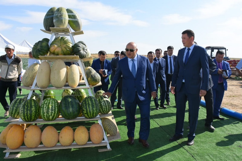 Жылы екі рет өнім алу басым бағытқа айналмақ