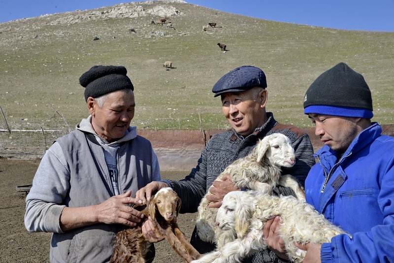 Tórt túlik qystan qysylmai shyqty
