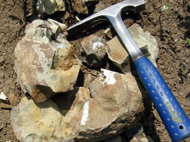 Kentaýda 6 geologiialyq barlaý jumystary júrýde