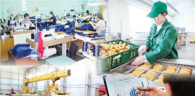 تٷلكٸباس اۋدانىندا شاعىن كەسٸپكەرلٸك سالاسى 17 مىڭنان استام ادامدى  جۇمىسپەن قامتى وتىر