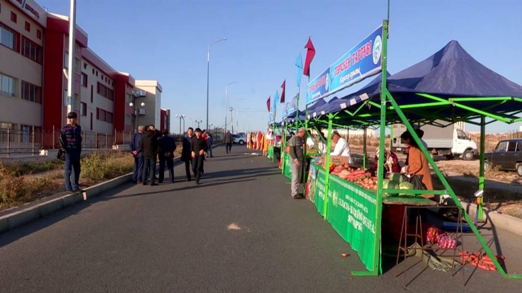 Созақ ауданында ауыл шаруашылығы өнімдерінің көрмесі өтті